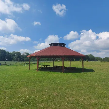 Przystanek Czapla
