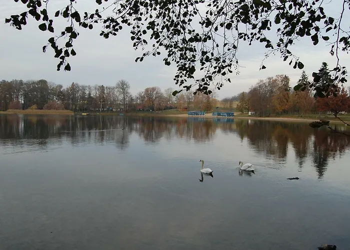 Przystanek Czapla Bed & Breakfast 3*